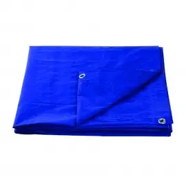 Prelata Universala, inele...