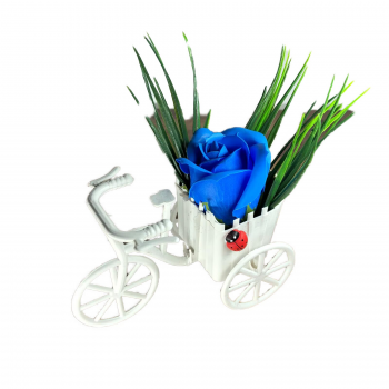 Virágkompozíció, Bicikli, Kék Rózsa, Illatos, Katica