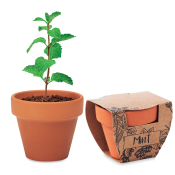 Kit Kertészkedés, Terrakotta Cserép Mentamagokkal, 5x6x5.5 cm