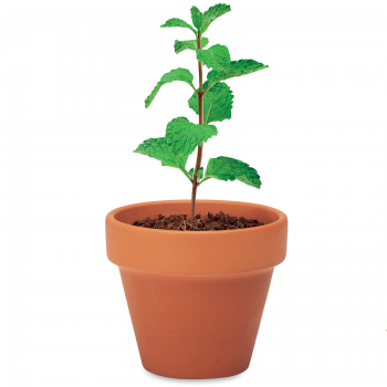 Kit Kertészkedés, Terrakotta Cserép Mentamagokkal, 5x6x5.5 cm