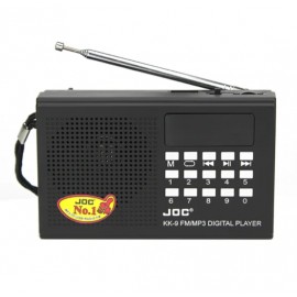 Radio FM Digital cu Player...