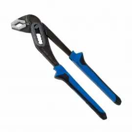 Cleste papagal profesional...